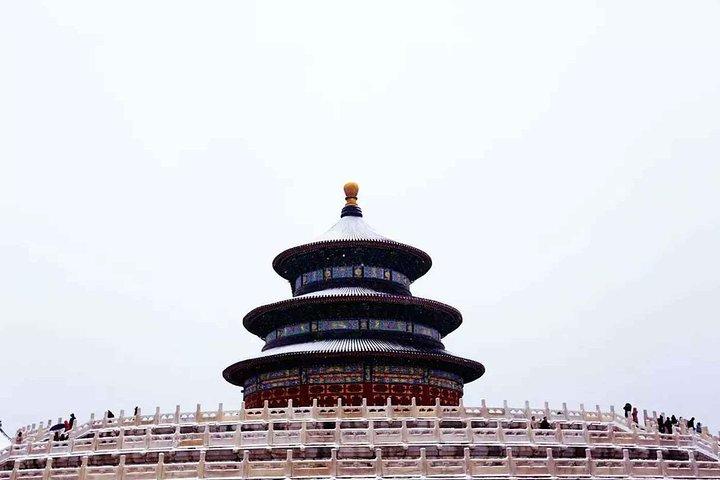 Tour privato di mezza giornata del Tempio del cielo e del mercato di Hong Qiao