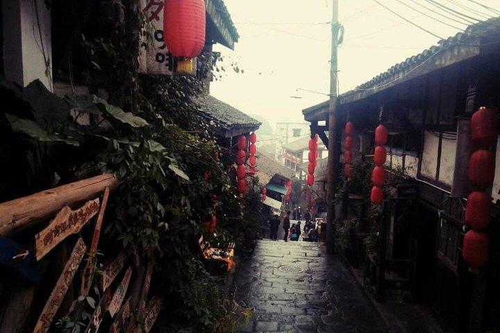 Privétour van 1 dag: Dazu Rock Carvings en Ciqikou Ancient Village vanuit Chongqing