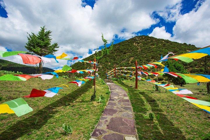 Excursão privada de Shangri-La de 1 dia: Parque Nacional Potatso e Templo de Baiji