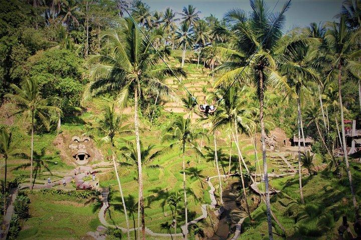 Bali-Ganztagestour | Individuelle Route auf Bali | Bali-Führer | Gratis Wifi