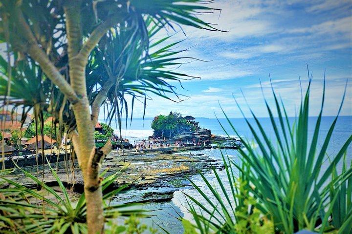 Bali-Ganztagestour | Individuelle Route auf Bali | Bali-Führer | Gratis Wifi