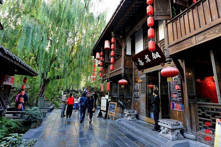あなたの方法でカスタマイズされた成都市のプライベート 1 日ツアー