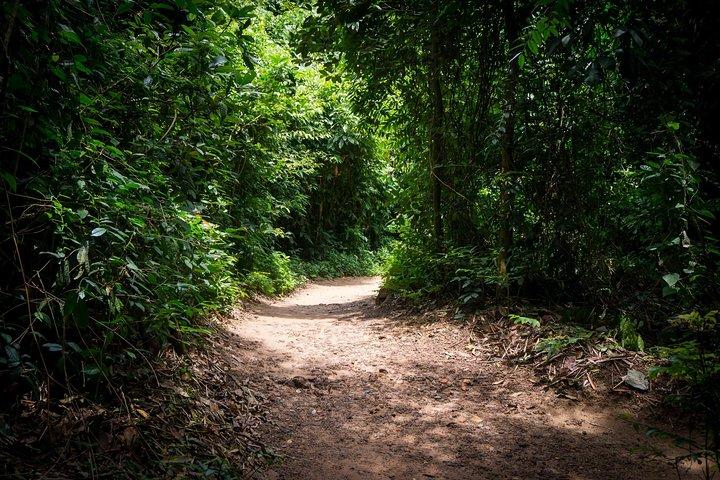 Eftermiddag Cu Chi tunnels - lille gruppe halvdagstur