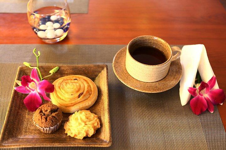 シータコクルーズ|最初の5つ星船|ハロン湾を7時間探索