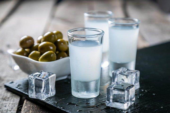 Tour giornaliero e divertente di degustazione di vodka a Varsavia con Esperto locale