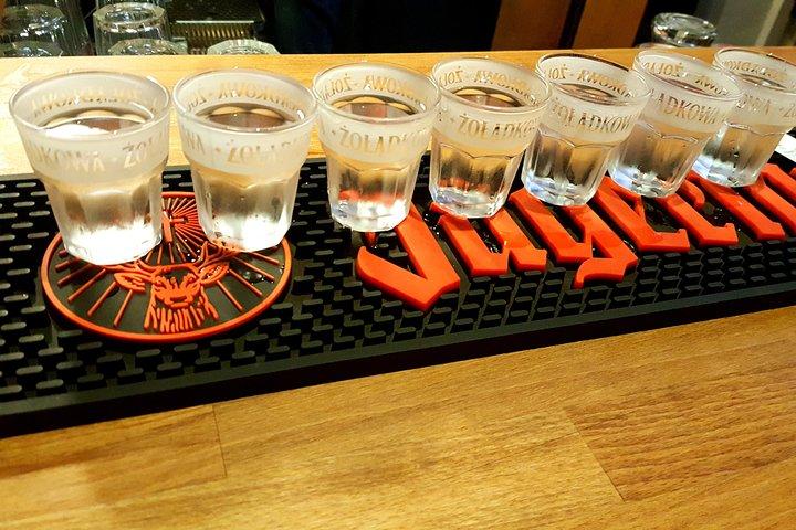 Tour giornaliero e divertente di degustazione di vodka a Varsavia con Esperto locale