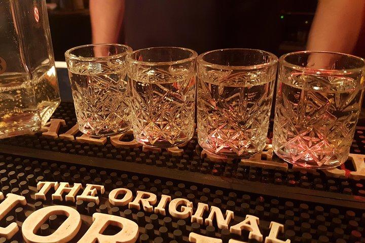 Tour giornaliero e divertente di degustazione di vodka a Varsavia con Esperto locale