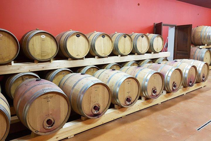 ポデーレカサノバのブドウ園でワインの試飲と食事をお楽しみください