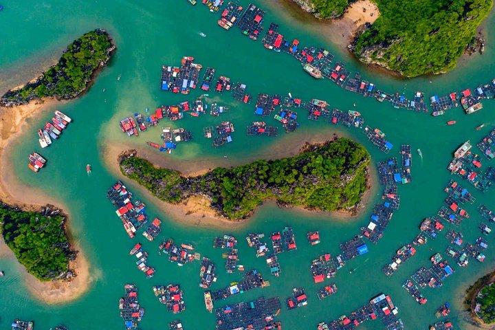 Wellness Detox-reis in Vietnam