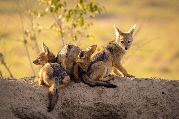 3-day Tanzania safari - Tarangire and Ngorongoro Crater