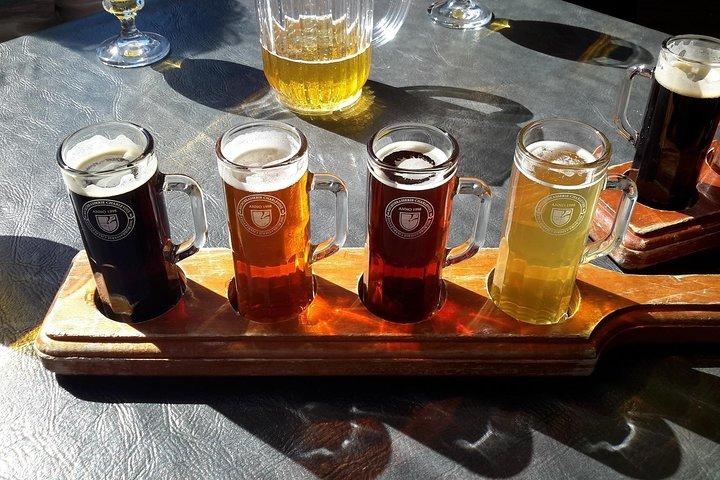 Tägliche Bierprobe Private Führung in den besten Warschauer Pubs