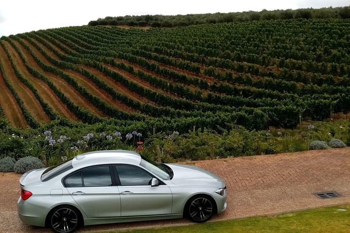 Full-Day Private Guided Wine Tasting Tour of Cape Wineries