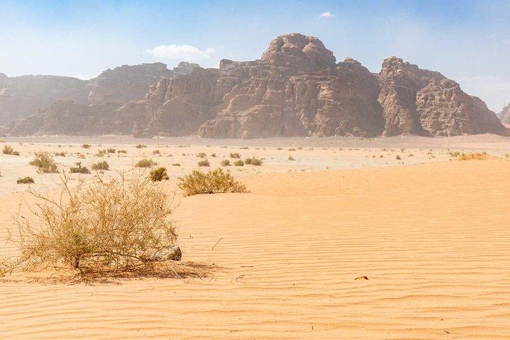 04 timmars Jeep-tur i Wadi Rum