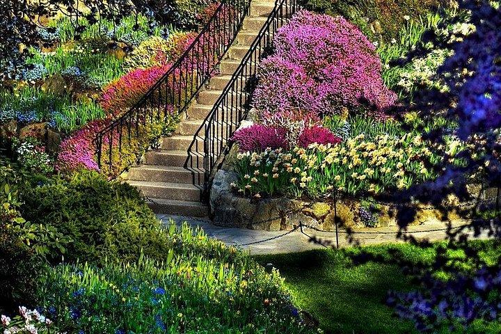 アスワン:プライベートナイルボートクルーズと植物園訪問-1日