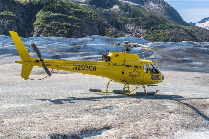 ヘリコプターで氷河着陸の犬ぞり体験