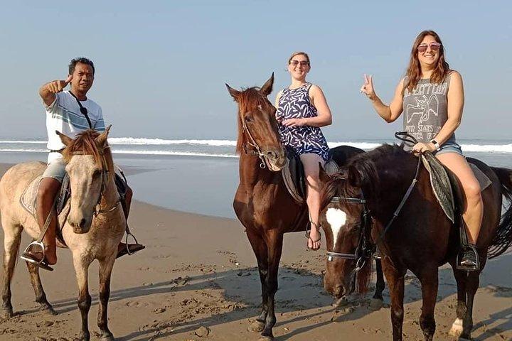 バリ島セミニャックビーチでの乗馬体験