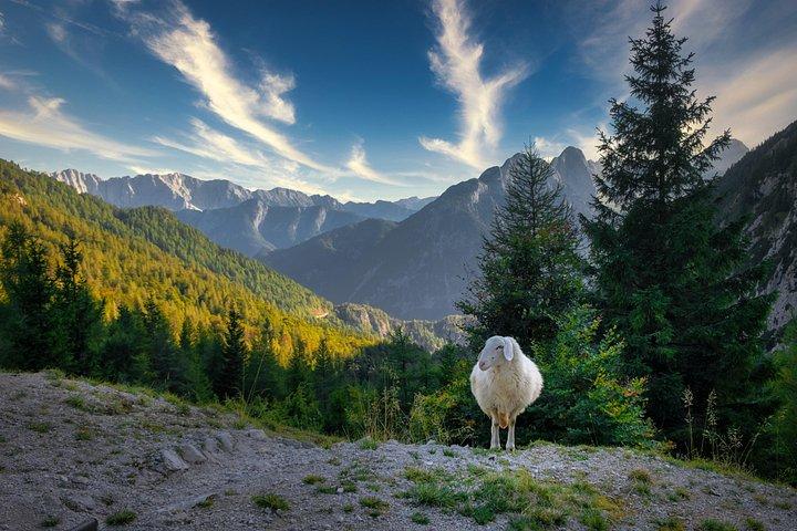 Soča Valley and the Julian Alps