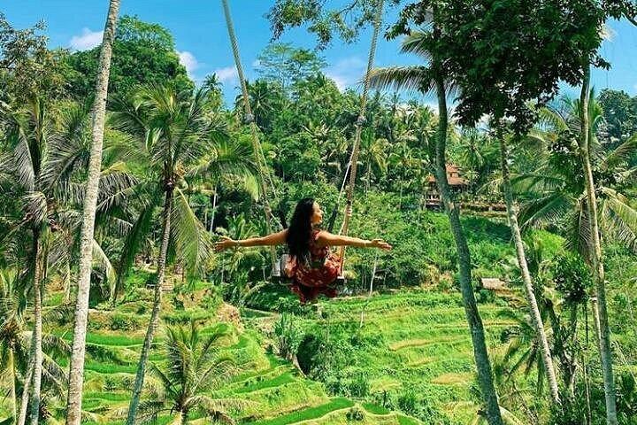 バリ島でのパッケージ2日間ツアー（すべてinvlusive）（instagramツアーとubudツアー）