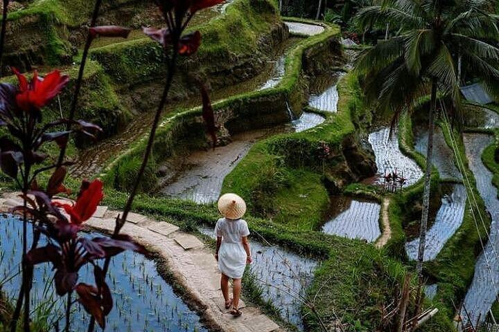 バリ島でのパッケージ2日間ツアー（すべてinvlusive）（instagramツアーとubudツアー）