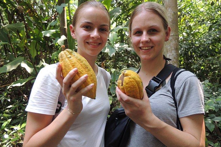 5-Days Amazon Rainforest and Andes Adventure