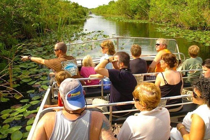 Private Everglades Tour : Airboat & Alligator Habitat Experience