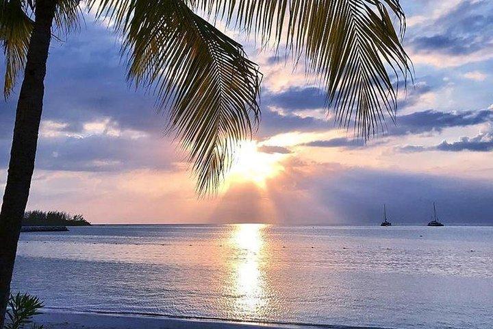 Rosehall Great House und Montego Bay City Tour von Falmouth