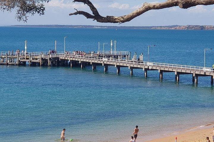 フィリップ島ペンギンと野生動物ツアー