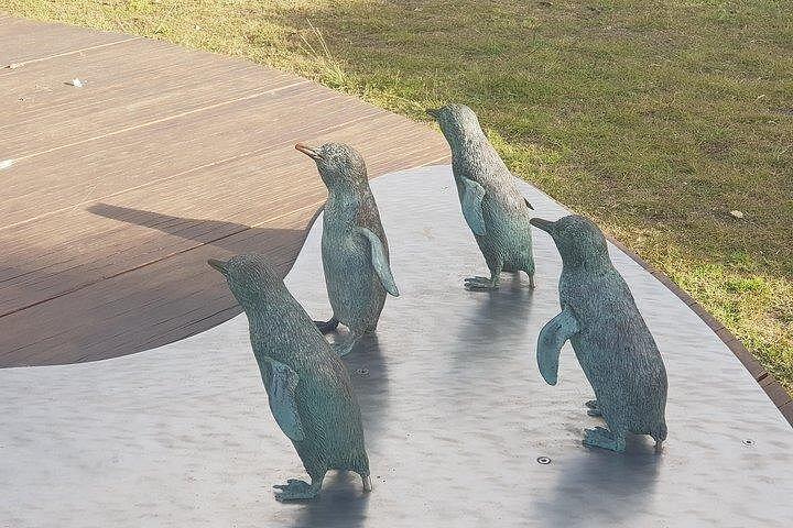 フィリップ島ペンギンと野生動物ツアー