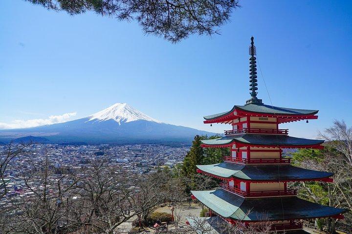 自然とわさび農園で富士山プライベート貸切ツアー