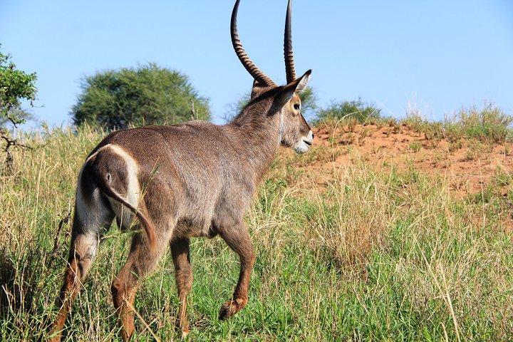 Arusha National Park Day Tour