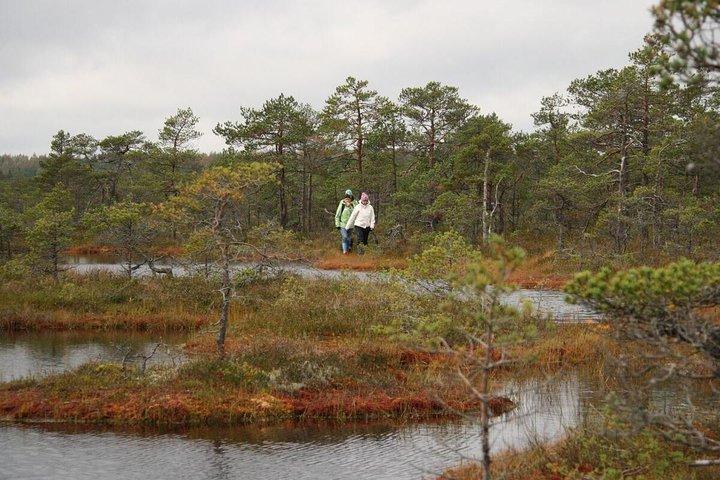 Dagtur til Magical Bog Shoe Walking tour