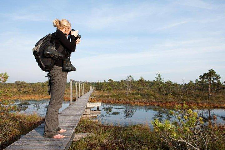 Dagtur til Magical Bog Shoe Walking tour