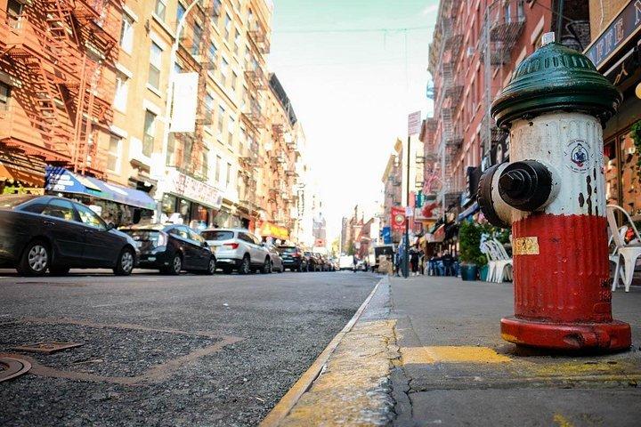 フランス語でローワーイーストサイド、チャイナタウン、リトルイタリーのガイド付きツアー