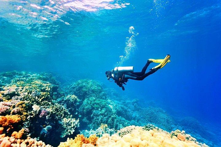 Scuba Diving in Santorini - One Dive