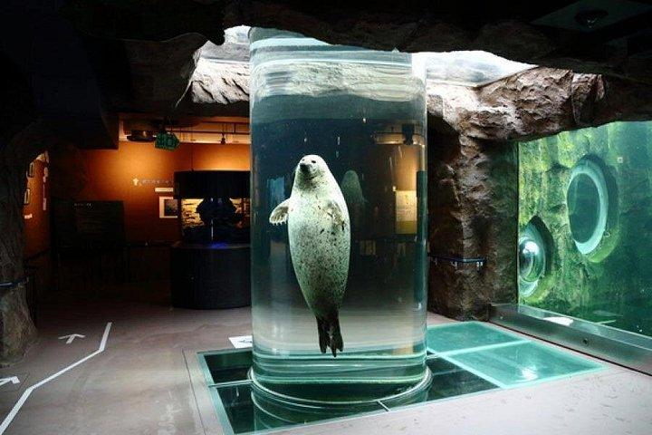 北海道の花見・旭山動物園・青い池「青い池」!