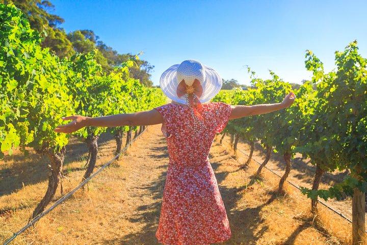 De Sirmione: Lugana Wine Experience