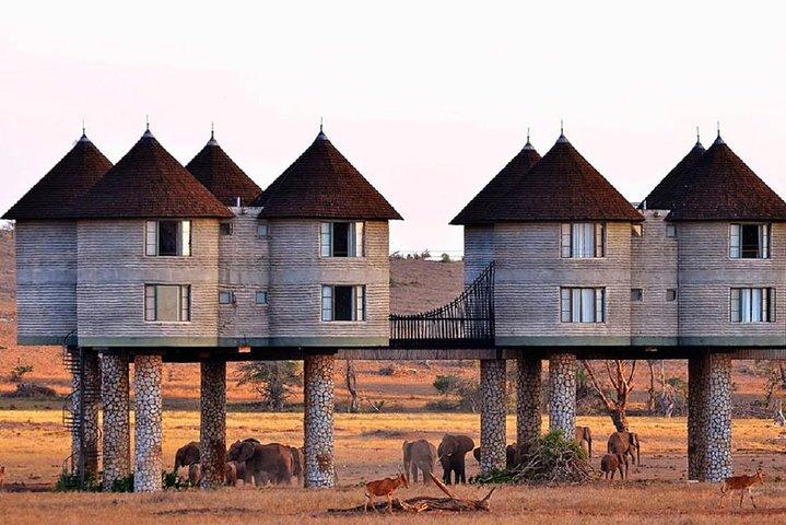 2 dias (1 noite); Tsavo East e Saltlick Safari: