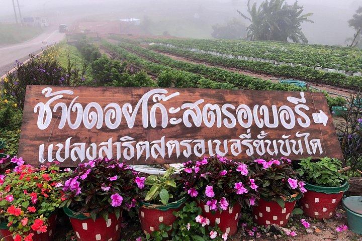 Khao Kho 3 Tage 2 Nächte ab Bangkok