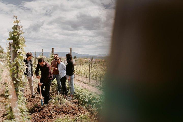 Wine Tour Slovenien