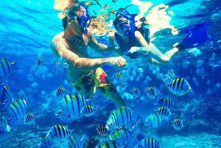 Excursion d'une journée au sous-marin Sea Wolf et plongée en apnée