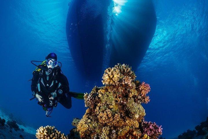 Excursion d'une journée au sous-marin Sea Wolf et plongée en apnée