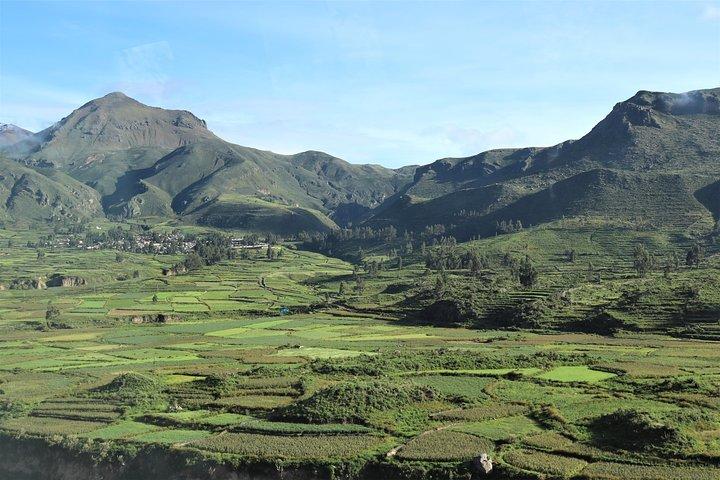 Heldagstur til Colca Canyon / Privat tur for par