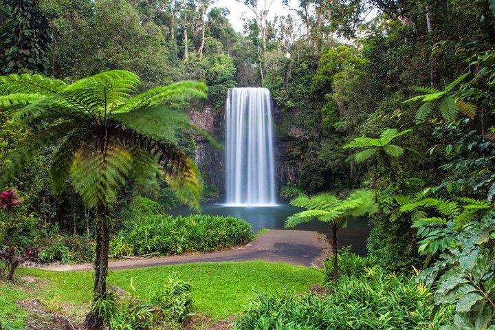 Cairns & Port Douglas all-inclusive 7-dagars turnépaket