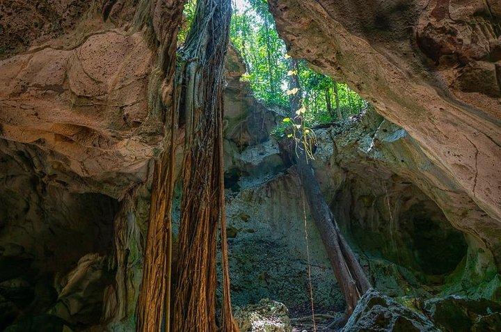 Private Exploring Tour in Green Grotto Caves and Rafting on the Martha Brae