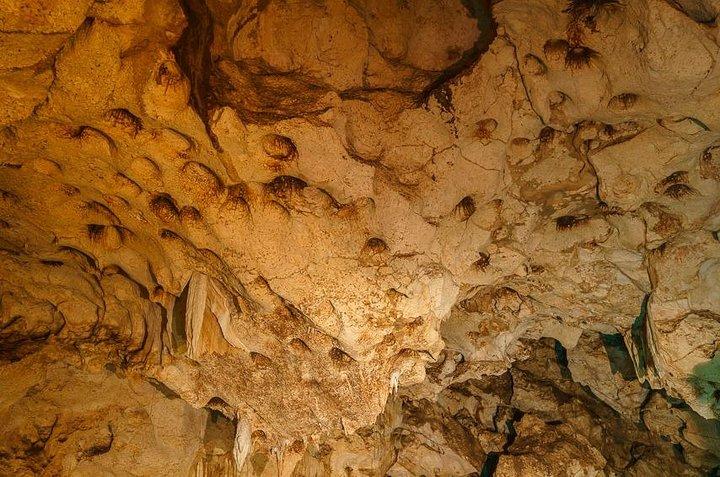 Private Exploring Tour in Green Grotto Caves and Rafting on the Martha Brae