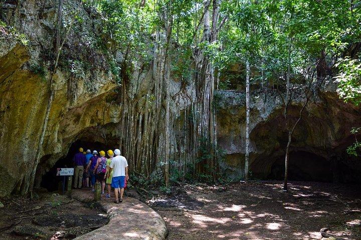 Private Exploring Tour in Green Grotto Caves and Rafting on the Martha Brae