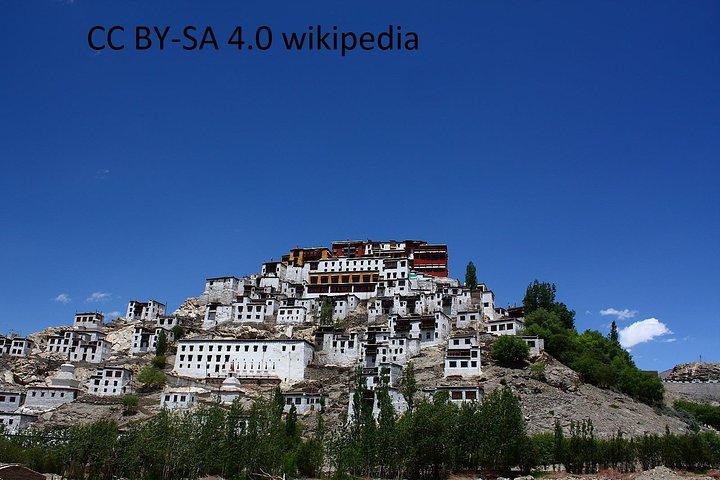 Leh Monastry Halvdagstur