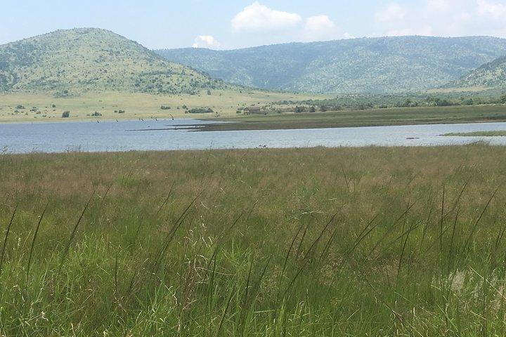 Pilanesberg Safari Day Tour