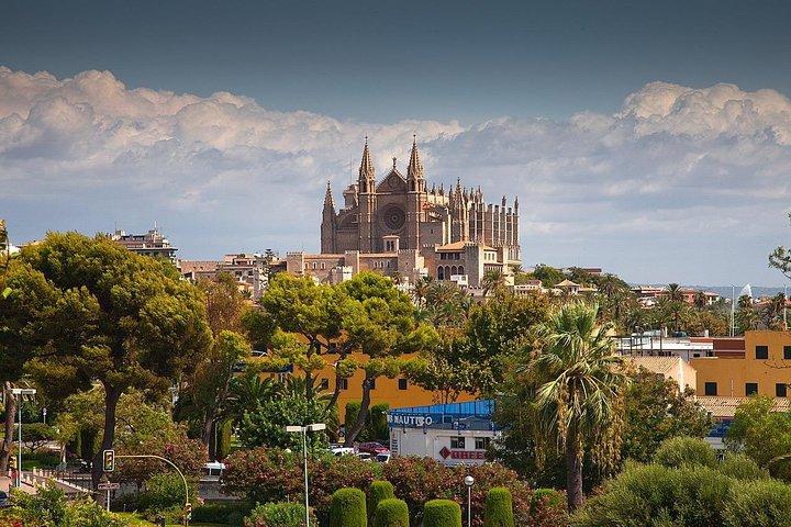 Visite privée de 4 heures de Palma de Majorque avec chauffeur et Guide