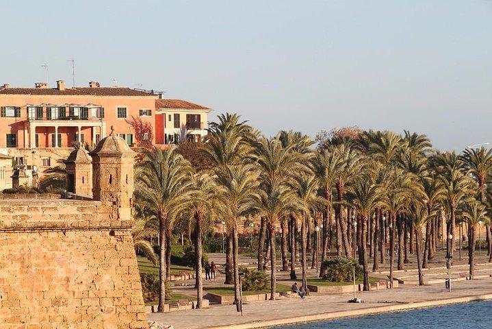 Visite privée de 4 heures de Palma de Majorque avec chauffeur et Guide